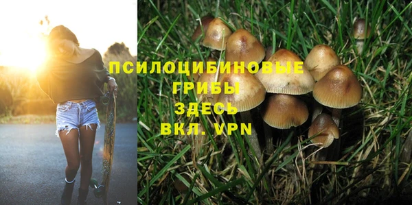 эйфоретик Карпинск