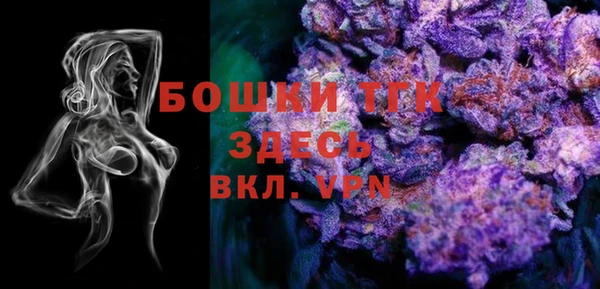 эйфоретик Карпинск