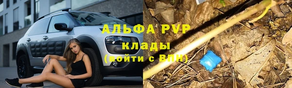 дурь Касимов